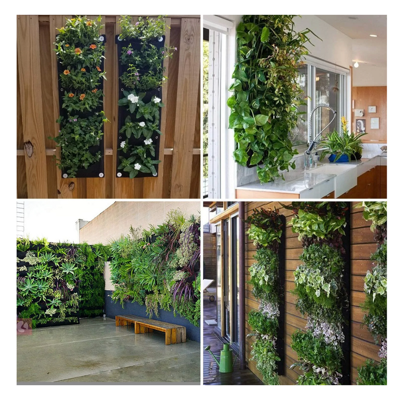 GreenWall Vertical Planter